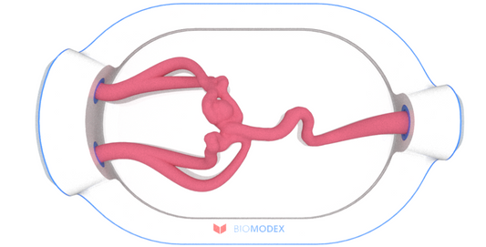 EVIAS -HMS -Cartridge - #0577