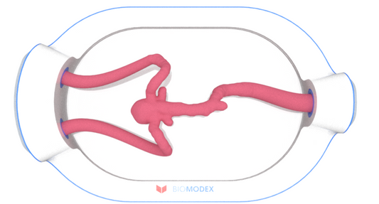 EVIAS -HMS -Cartridge - #0614