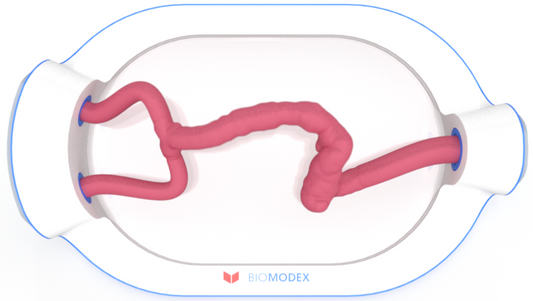 EVIAS -HMS -Cartridge - #0716