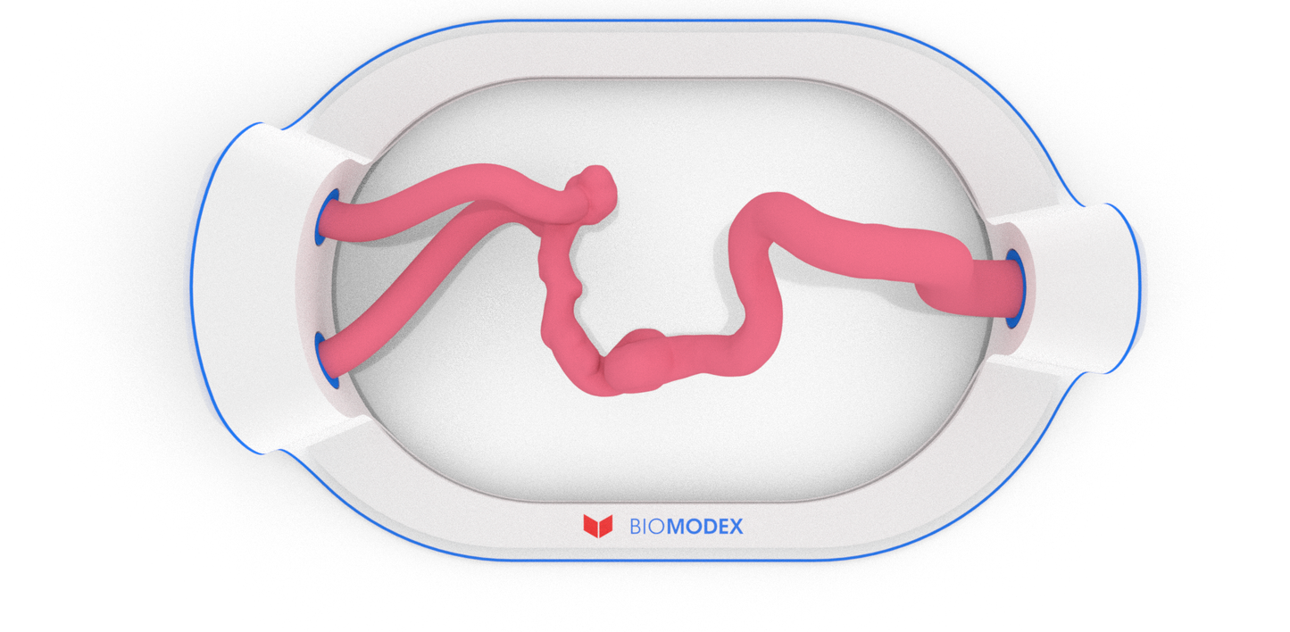 EVIAS -HMS -Cartridge - #25