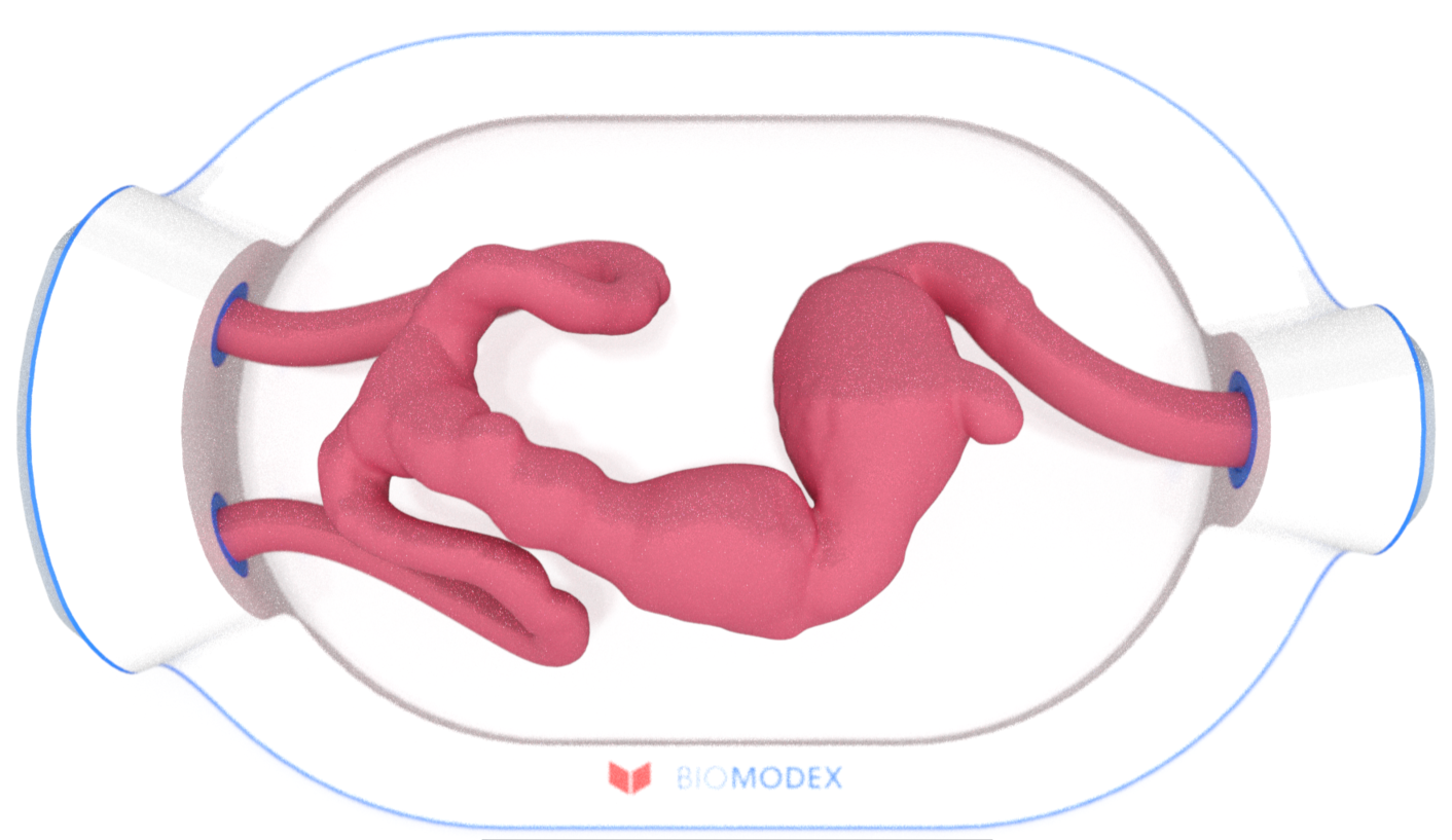 EVIAS -HMS -Cartridge - #0662