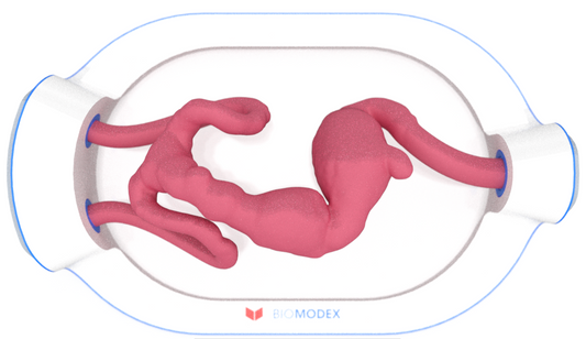 EVIAS -HMS -Cartridge - #0662