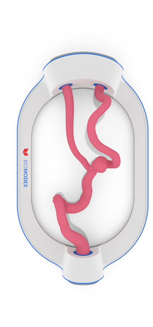 EVIAS -HMS -Cartridge - #170