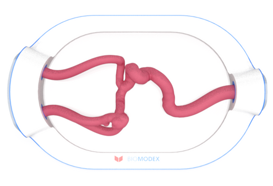 EVIAS -HMS -Cartridge - #0668