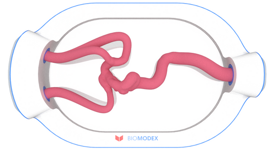 EVIAS -HMS -Cartridge - #0568