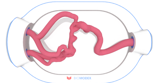 EVIAS -HMS -Cartridge - #0567