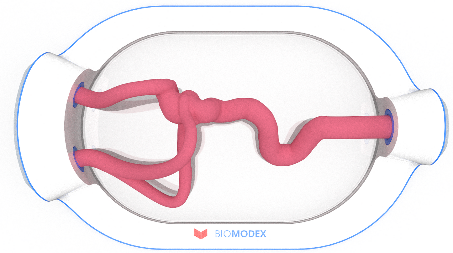 EVIAS -HMS -Cartridge - #0542