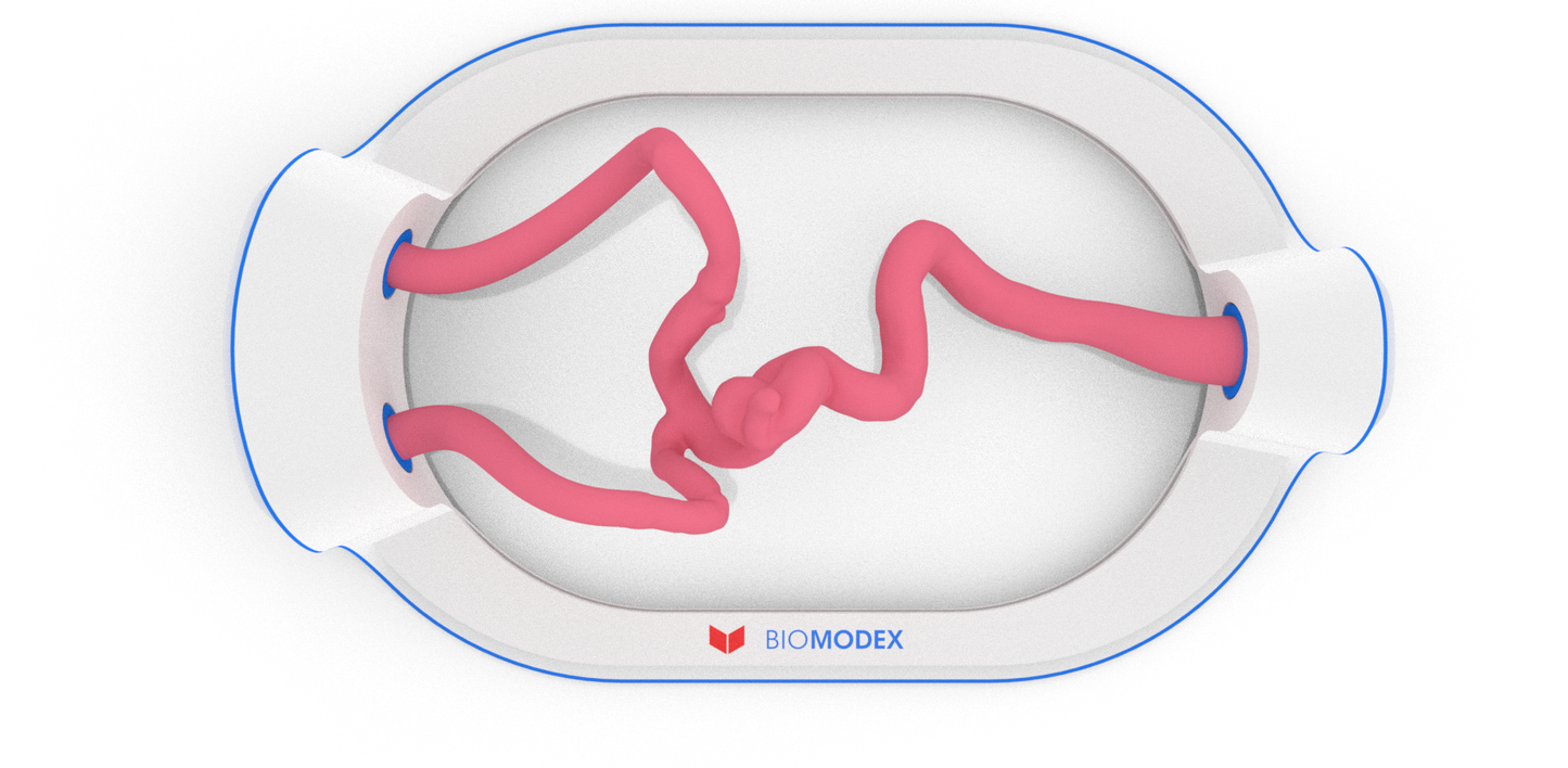 EVIAS -HMS -Cartridge - #78