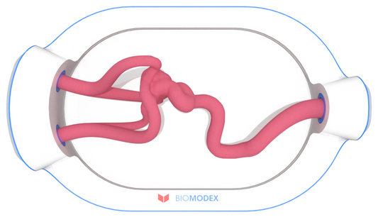 EVIAS -HMS -Cartridge - #0627