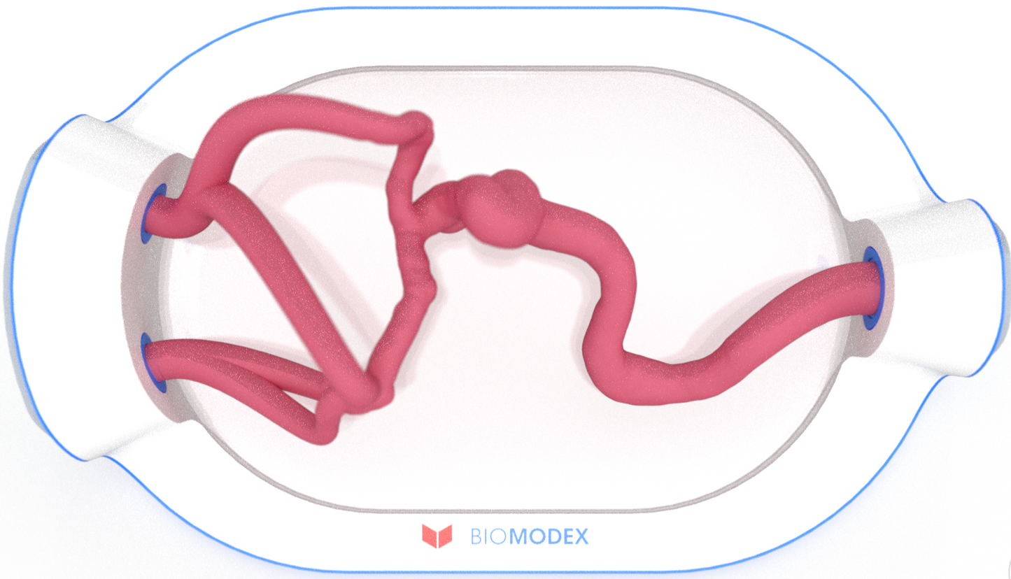 EVIAS -HMS -Cartridge - #0721