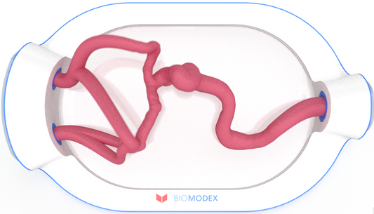 EVIAS -HMS -Cartridge - #0721