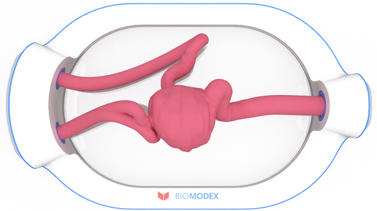 EVIAS -HMS -Cartridge - #0526