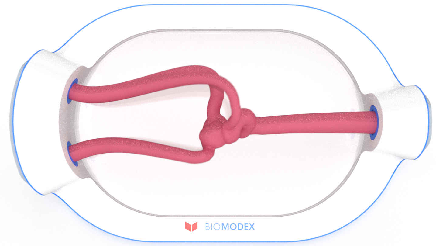 EVIAS -HMS -Cartridge - #0714