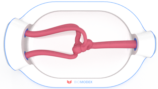 EVIAS -HMS -Cartridge - #0714