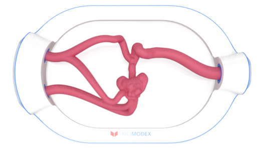 EVIAS -HMS -Cartridge - #0689