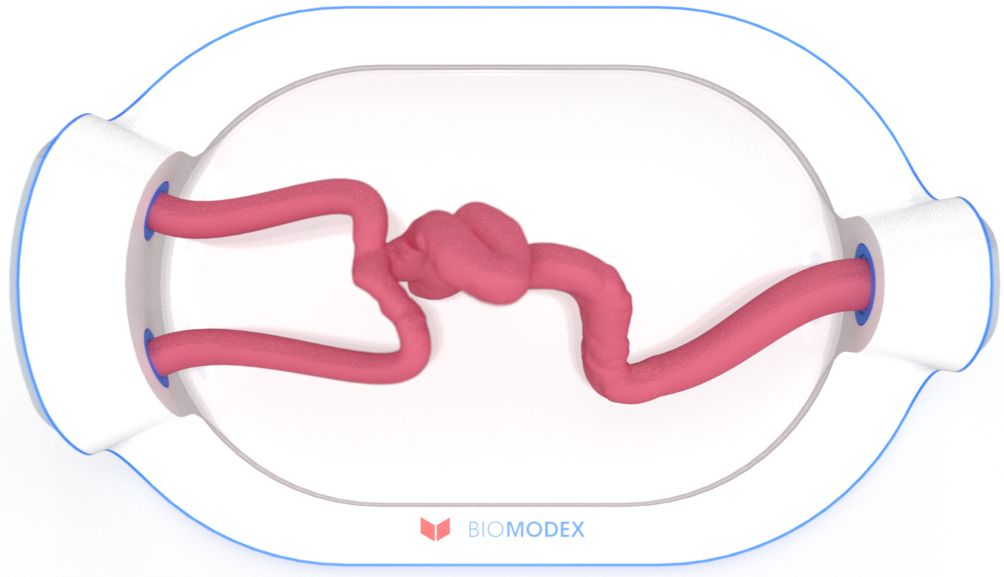 EVIAS -HMS -Cartridge - #0746