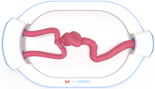 EVIAS -HMS -Cartridge - #0746