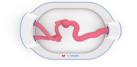 EVIAS -HMS -Cartridge - #11