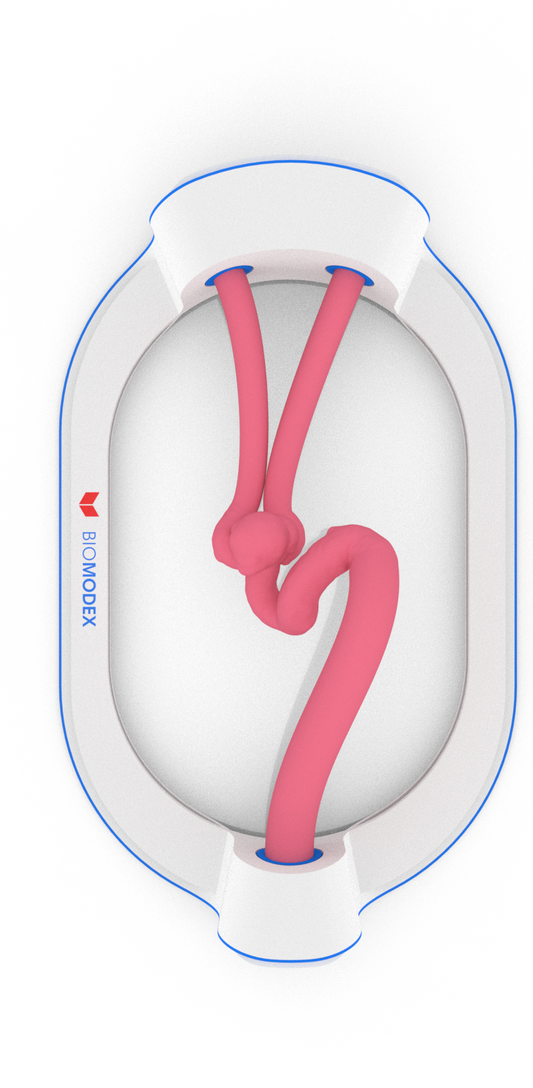 EVIAS -HMS -Cartridge - #32