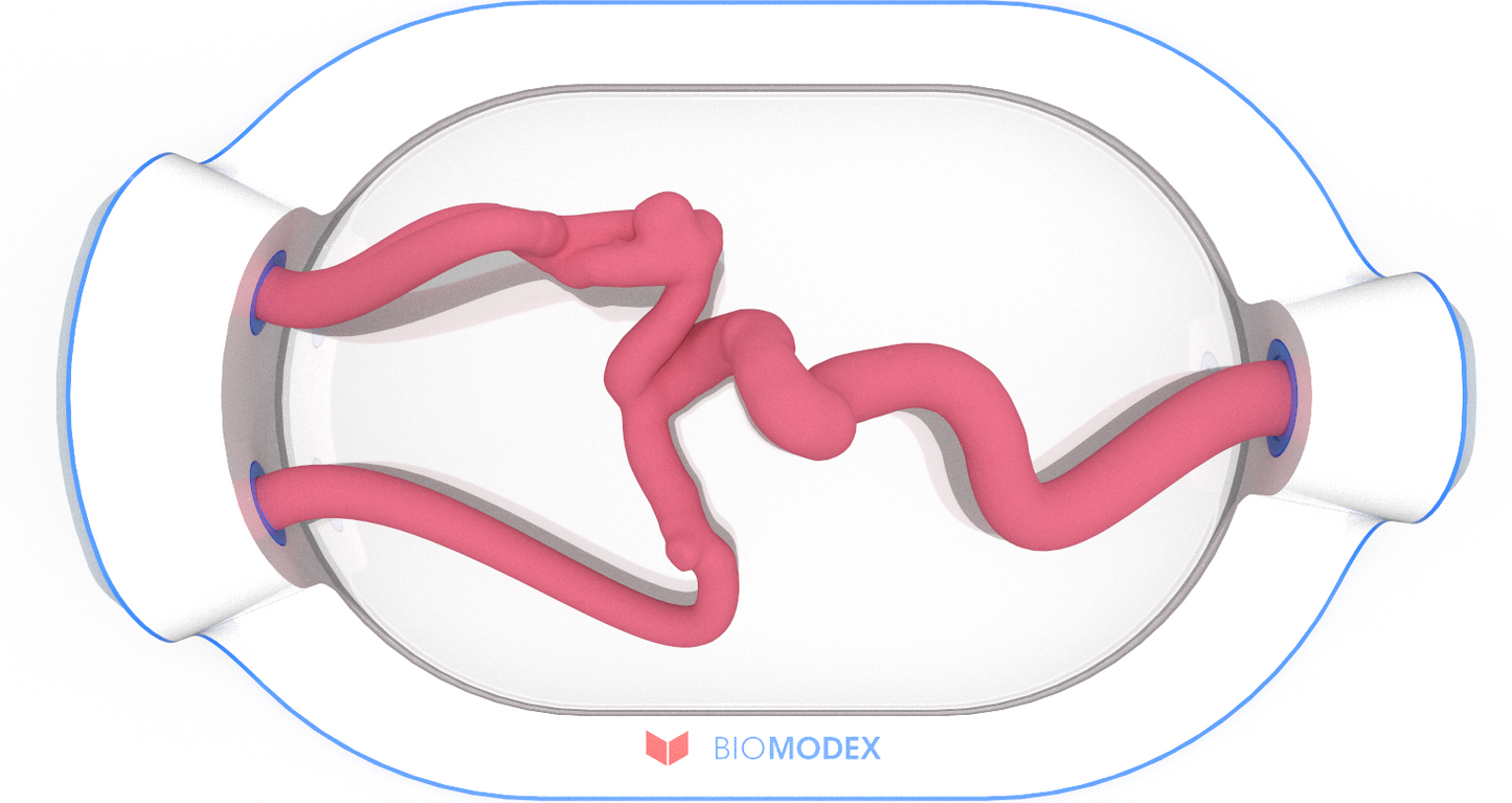 EVIAS -HMS -Cartridge - #0525