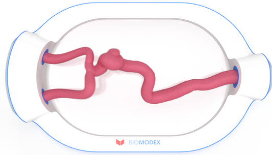 EVIAS -HMS -Cartridge - #0747