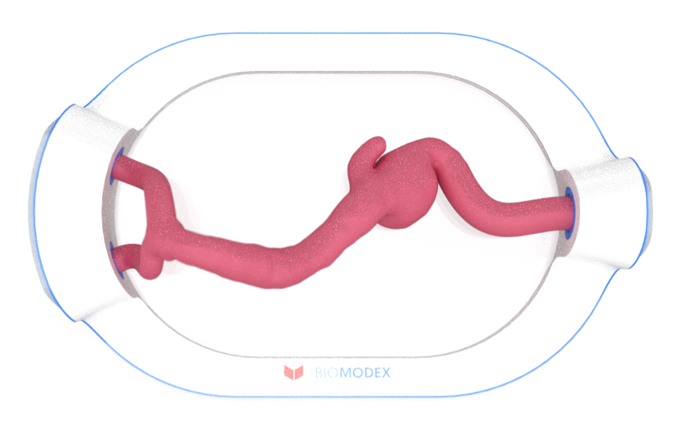 EVIAS -HMS -Cartridge - #0671