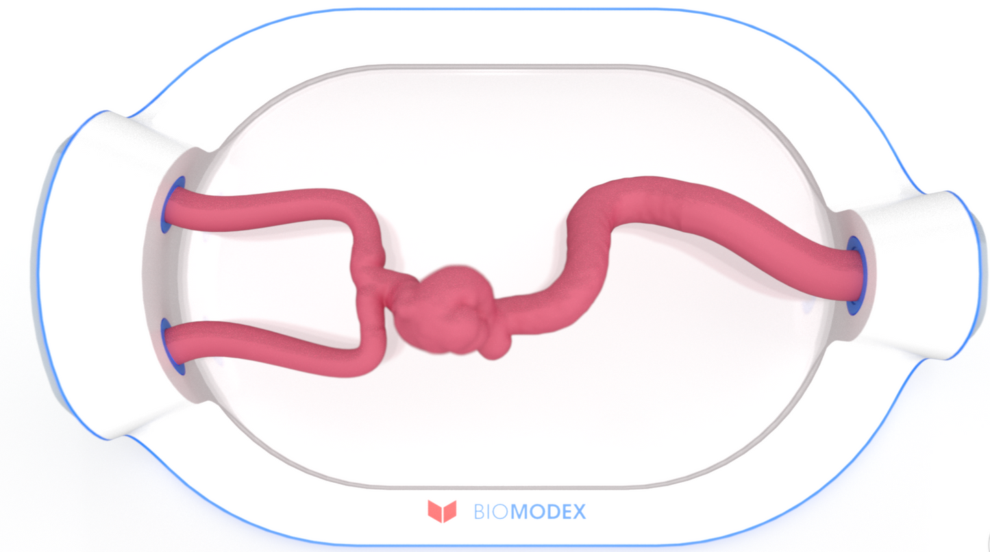 EVIAS -HMS -Cartridge - #0727