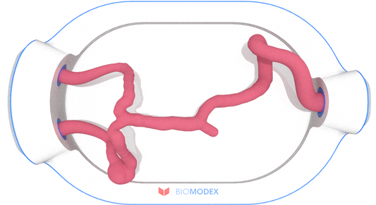 EVIAS -HMS -Cartridge - #0582