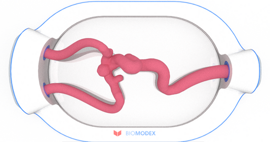 EVIAS -HMS -Cartridge - #0557