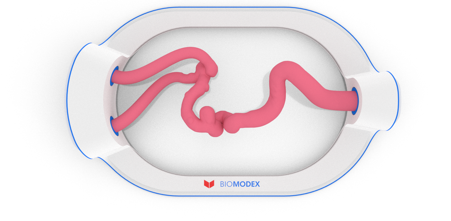 EVIAS -HMS -Cartridge - #16