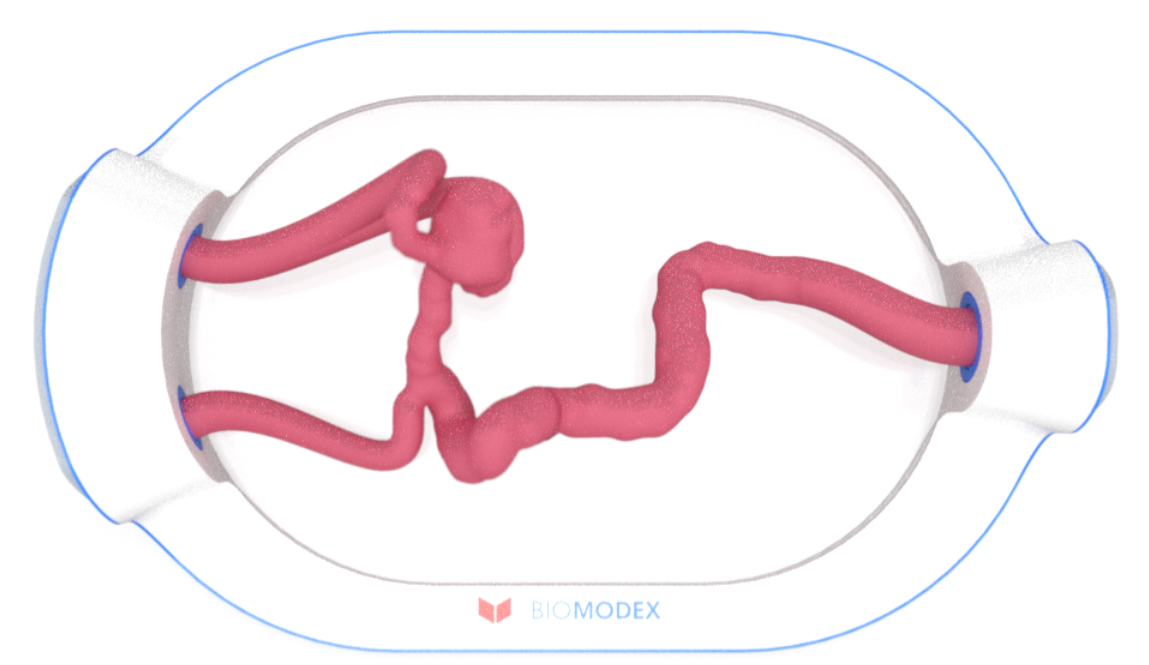 EVIAS -HMS -Cartridge - #0687