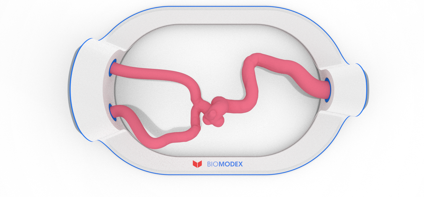 EVIAS -HMS -Cartridge - #86