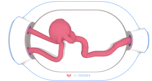 EVIAS -HMS -Cartridge - #0565