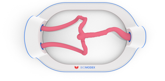 EVIAS -HMS -Cartridge - #50