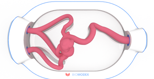 EVIAS -HMS -Cartridge - #0539