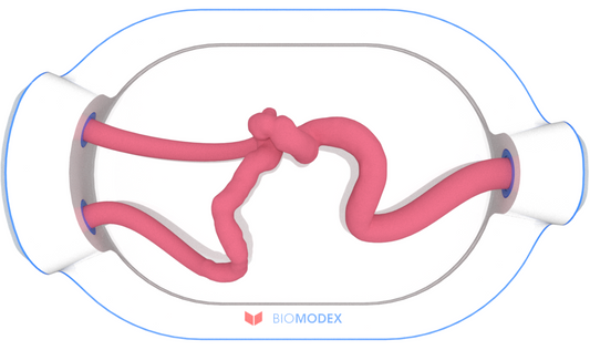 EVIAS -HMS -Cartridge - #0623