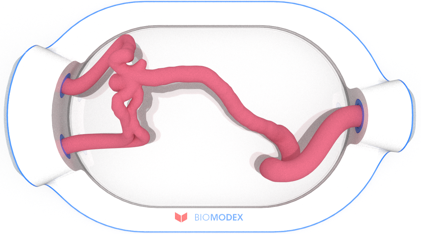 EVIAS -HMS -Cartridge - #0543