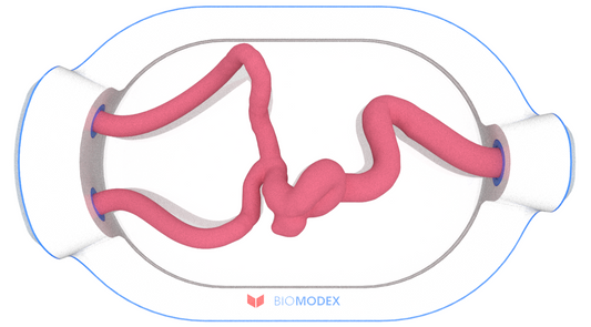 EVIAS -HMS -Cartridge - #0584