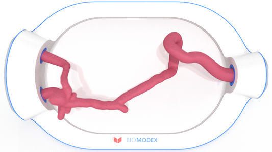 EVIAS -HMS -Cartridge - #0494