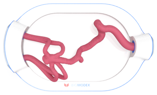 EVIAS -HMS -Cartridge - #0696