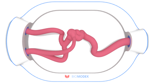 EVIAS -HMS -Cartridge - #0588