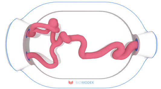 EVIAS -HMS -Cartridge - #0581