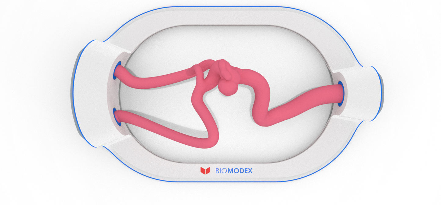 EVIAS -HMS -Cartridge - #81