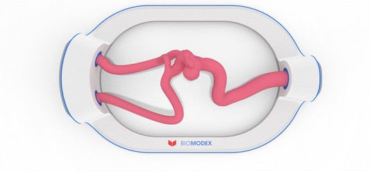 EVIAS -HMS -Cartridge - #81