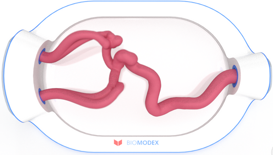 EVIAS -HMS -Cartridge - #0479