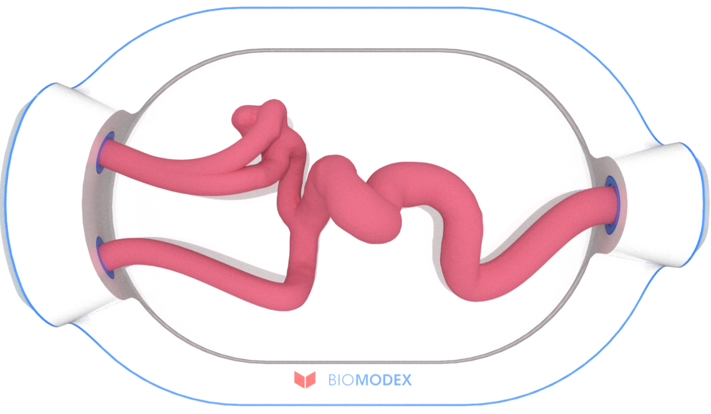 EVIAS -HMS -Cartridge - #0594