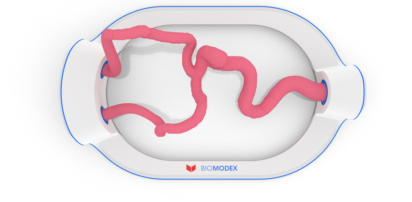 EVIAS -HMS -Cartridge - #34