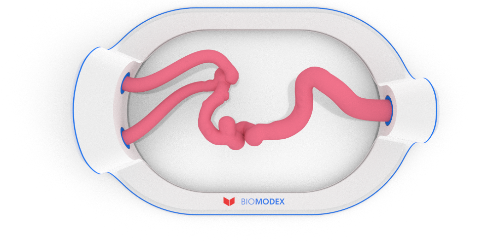 EVIAS -HMS -Cartridge - #4