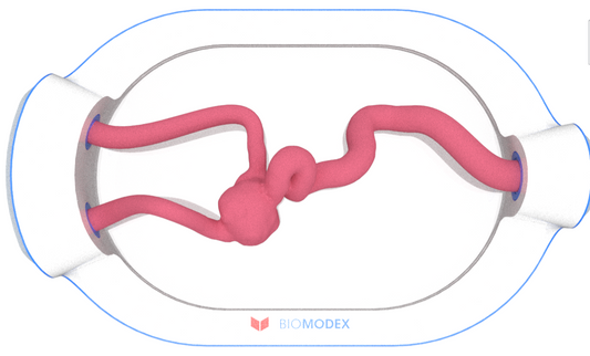 EVIAS -HMS -Cartridge - #0608