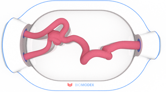 EVIAS -HMS -Cartridge - #0564